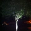 ||
