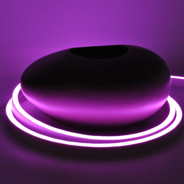 CFRF15BD24Vp - 24V Flat View LED Flex Neon RGB Spool - WDM Lighting ||||||