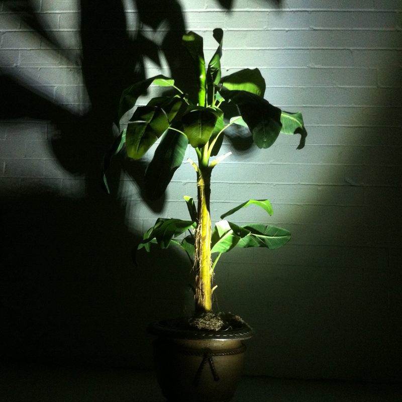 Wiedamark LED Lighting
