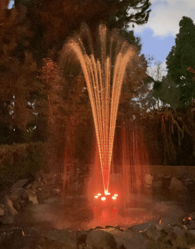 Wiedamark Ocean Mist Model