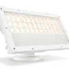 color kinetics 523-000110-25 - WDM Lighting